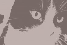 Studies In Dissonance